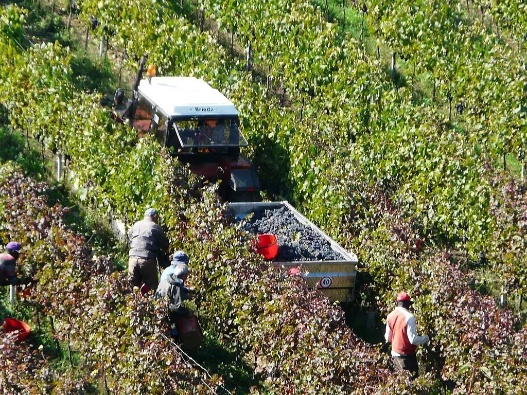 Villa Pian De Noci - Tenuta Del Palagio Mercatale Val Di Pesa 0*,  Italy